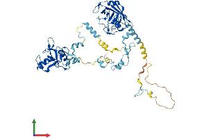 AlphaFold protein structure predicition of Mouse Recombinant Ppil2 Protein, UniprotID Q9D787