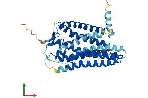 AlphaFold protein structure predicition of Human Recombinant OR2Y1 Protein, UniprotID Q8NGV0 (OR2Y1 Protein (AA 1-311) (His tag))