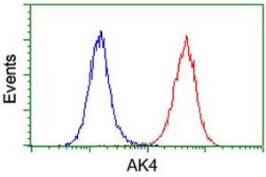 Image no. 1 for anti-Adenylate Kinase 4 (AK4) antibody (ABIN1496530) (AK4 antibody)