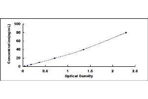 Amyloid beta (A4) Precursor Protein (APP) ELISA Kit