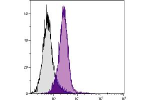 BALB/c mouse splenocytes were stained with Rat Anti-Mouse CD2-BIOT. (CD2 antibody  (Biotin))