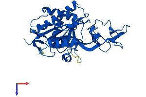 ASPA Protein (AA 1-312) (His tag)