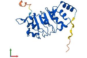 AlphaFold protein structure predicition of Mouse Recombinant Lrrc51 Protein, UniprotID Q9DAK8 (Leucine Rich Transmembrane and 0-Methyltransferase Domain Containing (LRTOMT) (AA 1-192) protein (His tag))