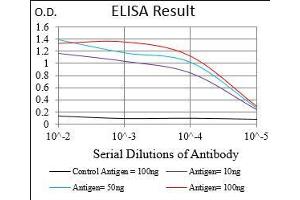 Black line: Control Antigen (100 ng), Purple line: Antigen(10 ng), Blue line: Antigen (50 ng), Red line: Antigen (100 ng), (CD13 antibody  (AA 781-967))