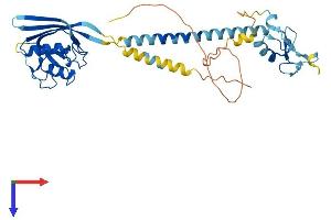 RNF133 Protein (AA 1-376) (His tag)