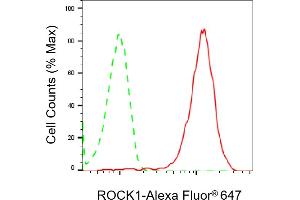 Flow cytometric analysis of ROCK1 expression in HeLa cells using ROCK1 antibody (ABIN7800204), 1:2,000). (Recombinant ROCK1 antibody)