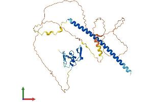 AlphaFold protein structure predicition of Human Recombinant THAP5 Protein, UniprotID Q7Z6K1 (THAP5 Protein (AA 1-395) (His tag))