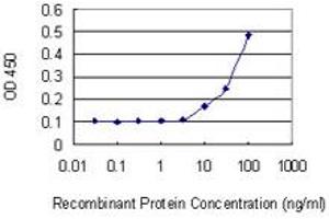 Detection limit for recombinant GST tagged IPP is 3 ng/ml as a capture antibody. (IPP antibody  (AA 105-204))