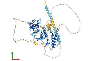 AlphaFold protein structure predicition of Human Recombinant RIOK2 Protein, UniprotID Q9BVS4