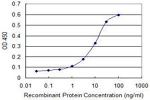 ELISA image for anti-Cytoglobin (CYGB) (AA 1-191) antibody (ABIN466266) (CYGB antibody  (AA 1-191))