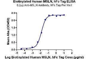 Immobilized Anti-MSLN Antibody at 2 μg/mL (100 μL/Well) on the plate. (Mesothelin Protein (MSLN) (Fc-Avi Tag,Biotin))