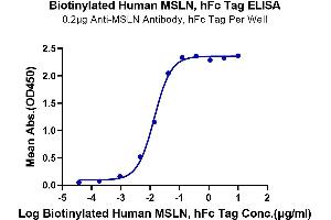 Immobilized Anti-MSLN Antibody at 2 μg/mL (100 μL/Well) on the plate.