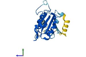 Protein Structure (PS) image for SAR1 Homolog A (SAR1A) (AA 1-198) protein (His tag) (ABIN7563196)