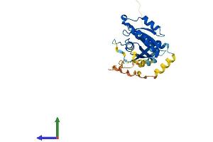 AlphaFold protein structure predicition of Mouse Recombinant Rab12 Protein, UniprotID P35283