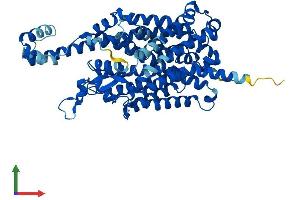 AlphaFold protein structure predicition of Human Recombinant SLC6A20 Protein, UniprotID Q9NP91 (SLC6A20 Protein (AA 1-592) (His tag))
