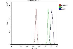 Flow Cytometry analysis of Daudi cells using anti-OGDH antibody (ABIN7598935). (alpha KGDHC antibody  (AA 1-1023))