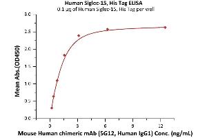 Immobilized Human Siglec-15, His Tag (ABIN6731345,ABIN6809919) at 1 μg/mL (100 μL/well) can bind Mouse Human chimeric mAb (5G12, Human IgG1) with a linear range of 0.