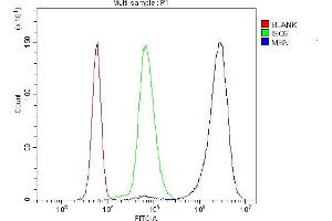 Flow Cytometry analysis of U937 cells using anti-MSN antibody (ABIN7600378).