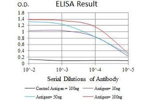 Black line: Control Antigen (100 ng), Purple line: Antigen(10 ng), Blue line: Antigen (50 ng), Red line: Antigen (100 ng), (NrCAM antibody  (AA 1192-1255))