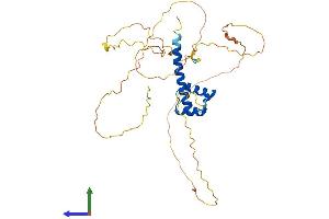 AlphaFold protein structure predicition of Human Recombinant HOXC10 Protein, UniprotID Q9NYD6 (HOXC10 Protein (AA 1-342) (His tag))