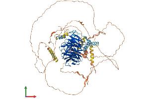 AlphaFold protein structure predicition of Human Recombinant DCAF5 Protein, UniprotID Q96JK2