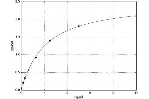 Vav 3 Oncogene (VAV3) ELISA Kit