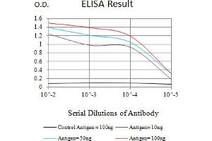 Black line: Control Antigen (100 ng),Purple line: Antigen (10 ng), Blue line: Antigen (50 ng), Red line:Antigen (100 ng) (MYCN antibody  (AA 337-464))