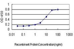 Detection limit for recombinant GST tagged ADAM12 is approximately 0. (ADAM12 antibody  (AA 208-304))