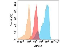 Flow Cytometry (FACS) image for anti-Neural Cell Adhesion Molecule 1 (NCAM1) antibody (ABIN7490488)