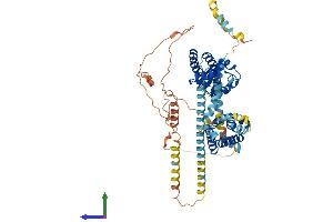 AlphaFold protein structure predicition of Human Recombinant KCND3 Protein, UniprotID Q9UK17 (KCND3 Protein (AA 1-655) (His tag))