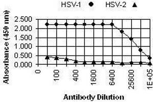 ELISA image for anti-Herpes Simplex Virus Type 1, Glycoprotein G (HSV1 gG) antibody (ABIN265554) (HSV1 gG antibody)