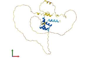 Protein Structure (PS) image for Orthopedia Homeobox (OTP) (AA 1-325) protein (His tag) (ABIN7550397)