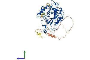 AlphaFold protein structure predicition of Mouse Recombinant Mettl14 Protein, UniprotID Q3UIK4 (METTL14 Protein (AA 1-456) (His tag))