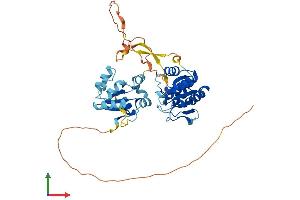 AlphaFold protein structure predicition of Human Recombinant DUSP7 Protein, UniprotID Q16829 (DUSP7 Protein (AA 1-419) (His tag))