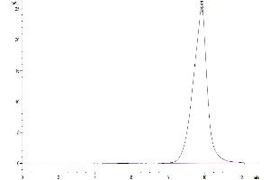 The purity of Mouse SLPI is greater than 95 % as determined by SEC-HPLC. (SLPI Protein (AA 26-131) (Fc Tag))