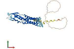 AlphaFold protein structure predicition of Mouse Recombinant Syp Protein, UniprotID Q62277 (Synaptophysin Protein (SYP) (AA 1-314) (His tag))