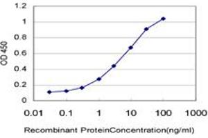 Detection limit for recombinant GST tagged POLR3K is approximately 0. (POLR3K antibody  (AA 1-108))