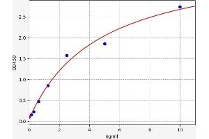 CSNK2B ELISA Kit