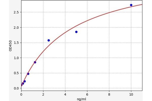 CSNK2B ELISA Kit