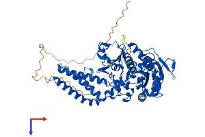 AlphaFold protein structure predicition of Human Recombinant NT5DC3 Protein, UniprotID Q86UY8 (NT5DC3 Protein (AA 1-548) (His tag))