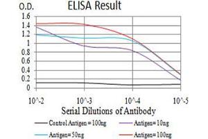 Black line: Control Antigen (100 ng);Purple line: Antigen (10ng); Blue line: Antigen (50 ng); Red line:Antigen (100 ng) (DHX58 antibody  (AA 479-678))
