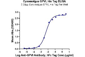 Immobilized Cynomolgus GPVI, His Tag at 0. (GP6 Protein (AA 21-251) (His tag))