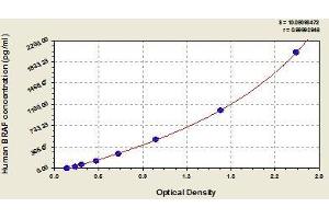 Typical standard curve (BRAF ELISA Kit)