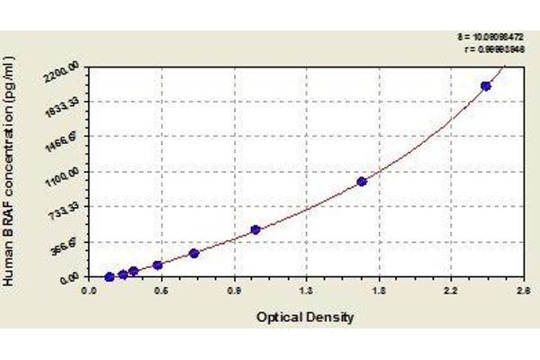BRAF ELISA Kit