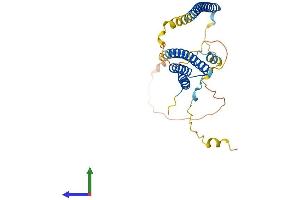Protein Structure (PS) image for Nuclear Receptor Binding Factor 2 (NRBF2) (AA 1-287) protein (His tag) (ABIN7564735)