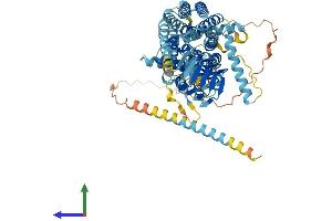 AlphaFold protein structure predicition of Mouse Recombinant Sv2c Protein, UniprotID Q69ZS6 (SV2C Protein (AA 1-727) (His tag))