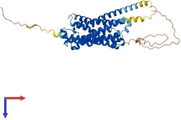 beta 2 Adrenergic Receptor Protein (AA 1-413) (His tag)