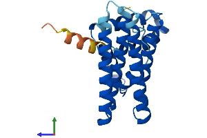 AlphaFold protein structure predicition of Mouse Recombinant Pdcd10 Protein, UniprotID Q8VE70 (PDCD10 Protein (AA 1-212) (His tag))