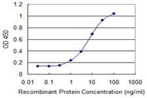 Detection limit for recombinant GST tagged PHLDA1 is 0. (PHLDA1 antibody  (AA 1-109))
