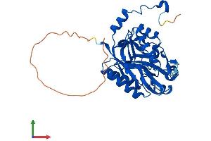 Protein Structure (PS) image for Nitrilase 1 (NIT1) (AA 1-323) protein (His tag) (ABIN7559861)